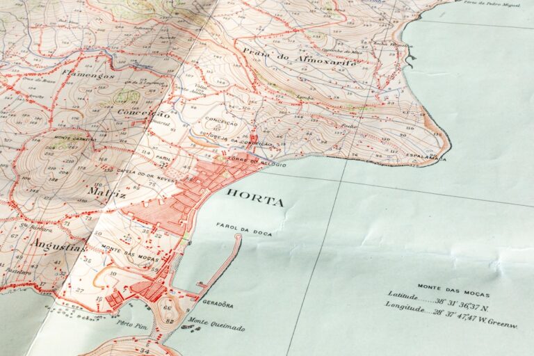 Rejestracja C: jakie to województwo? Lokalny kontekst dotacji